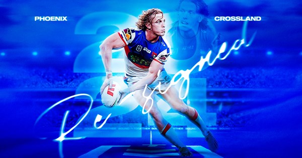 www.newcastleknights.com.au